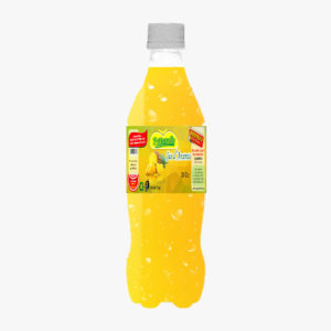Jus d'ananas 33cl