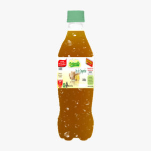 Jus de gingembre 33cl
