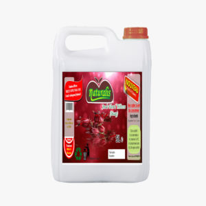 Jus de bissap 5L